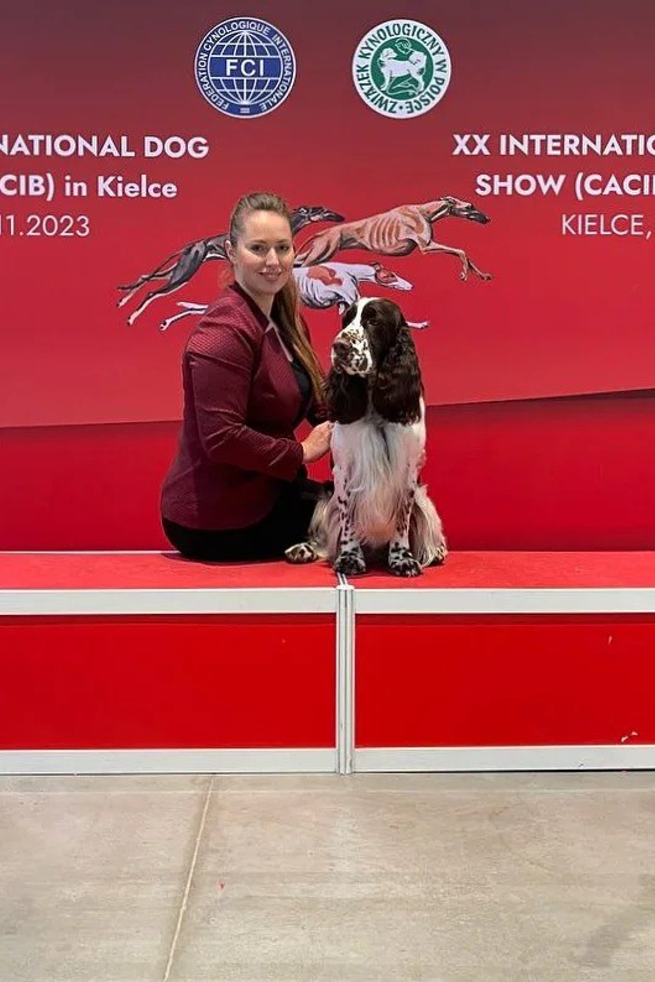 English Springer Spaniel show results WANDERLOVE JESSE JAMES. Website of the titled stud dog of the Springer Spaniel breed