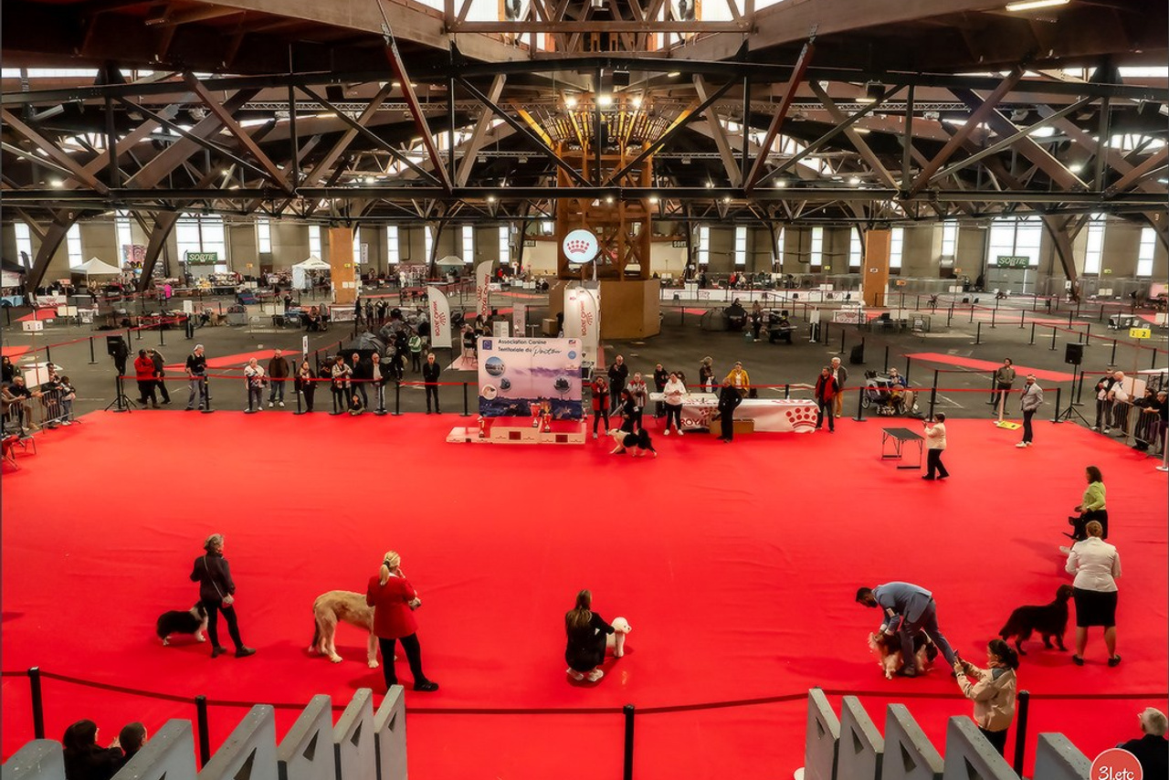 Blog. Photographe à Strasbourg | Portraits, Studio, Enfants, Événements