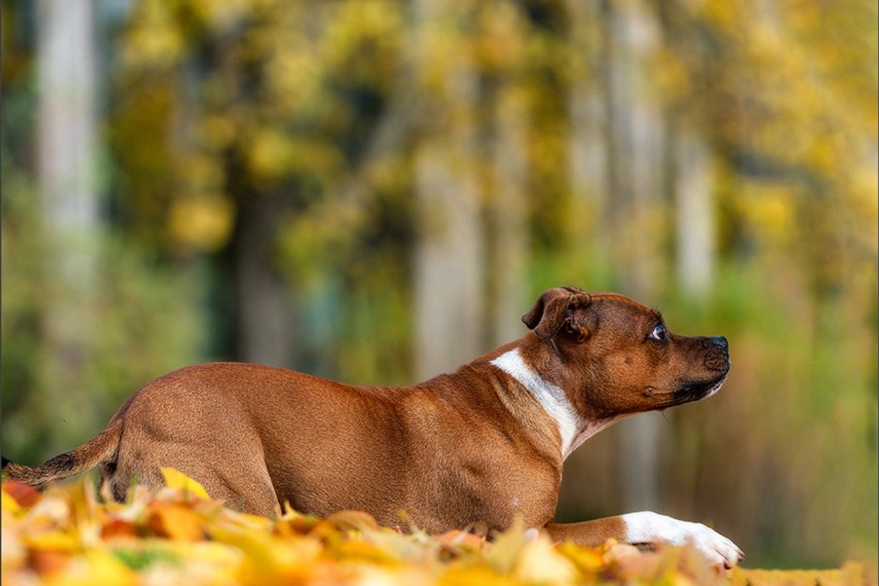 Blog. Photographe à Strasbourg | Portraits, Studio, Enfants, Événements