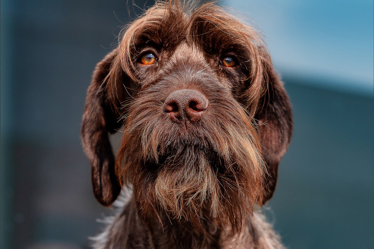 Photographe à Strasbourg | Portraits, Studio, Enfants, Événements