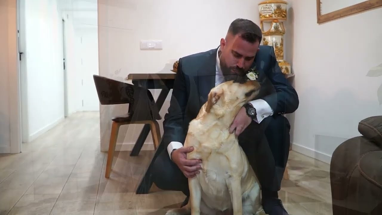 Vídeos de bodas · Javier Poveda Fotografía y Vídeo
