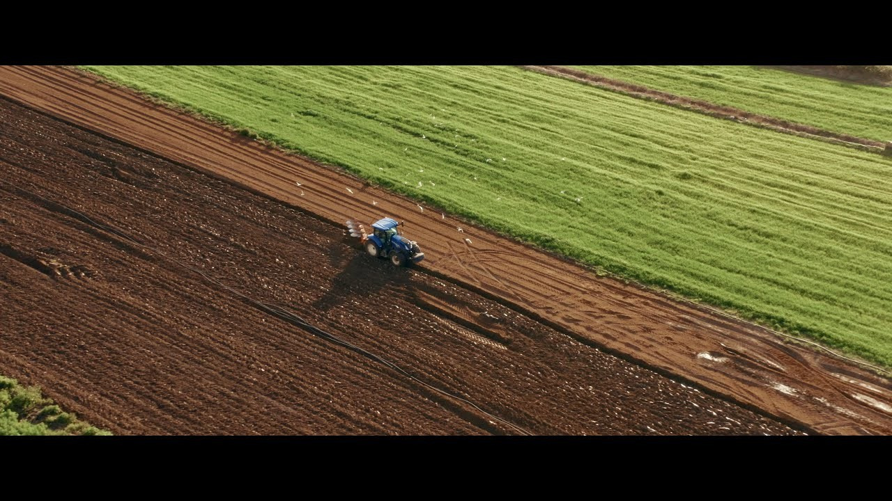 Olho Marinho — 100 Anos de História Viva!. Beyond Creative 20 | Cinematic Video & Photography Production Lisbon & Algarve