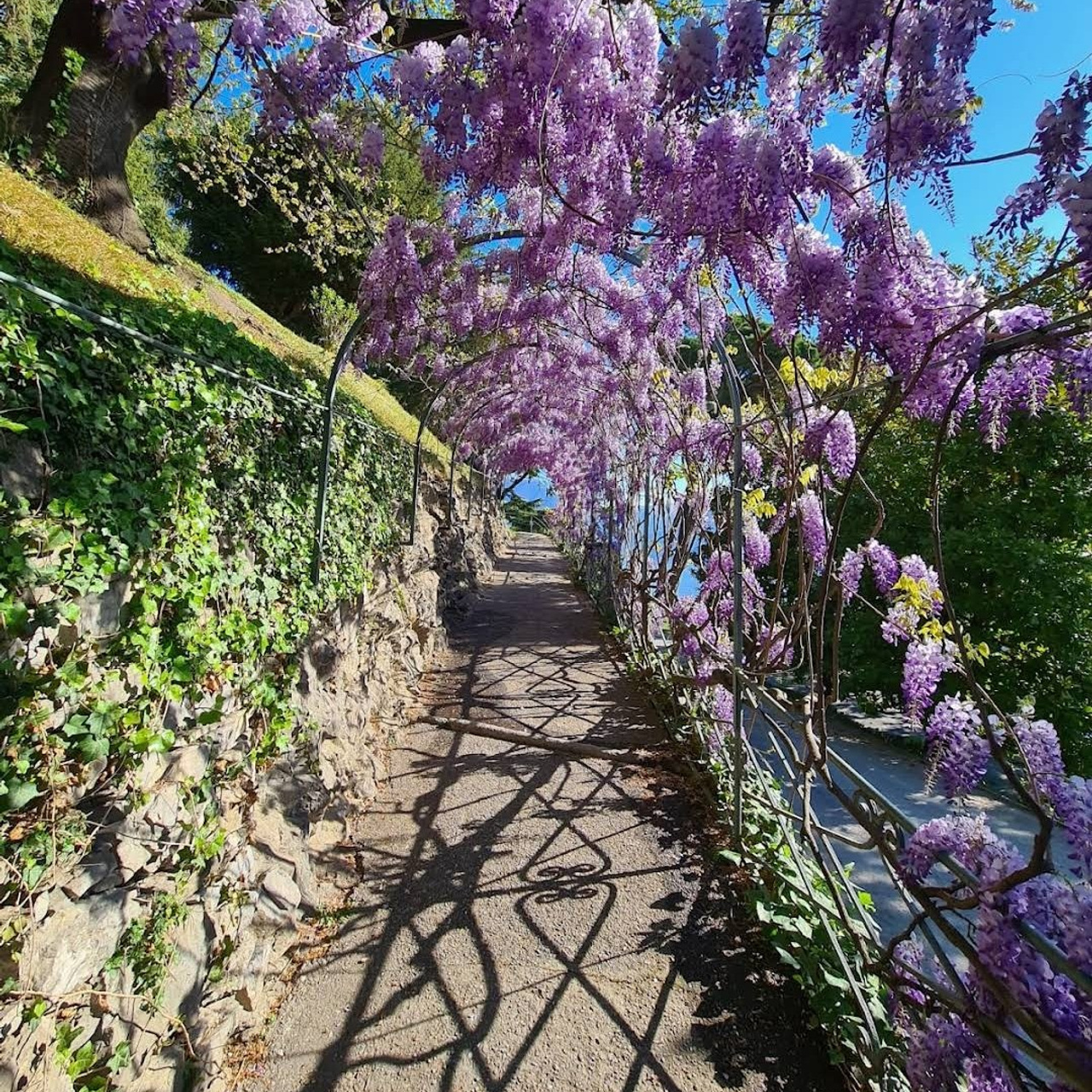 Locations Como. Wedding and elopement photographer Italy Tuscany Como Milan Pavia Marija Galaka
