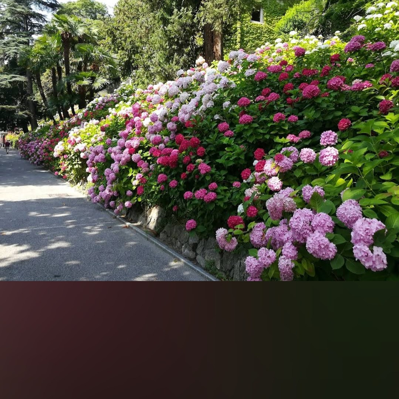 Locations Como. Wedding and elopement photographer Italy Tuscany Como Milan Pavia Marija Galaka