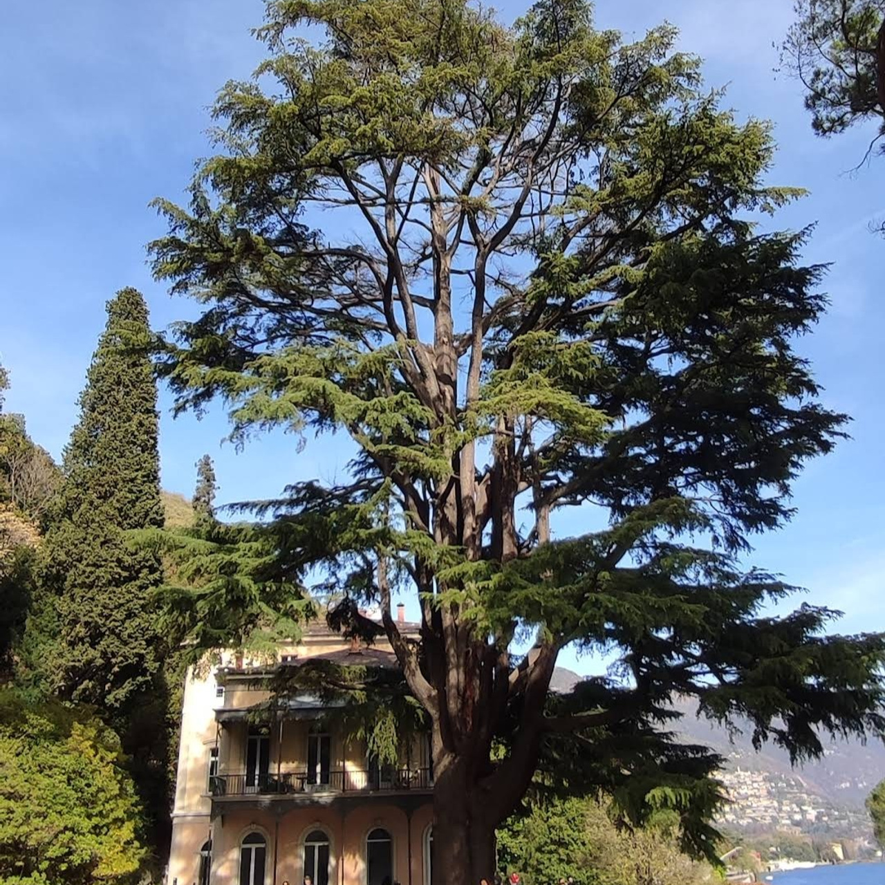 Locations Como. Wedding and elopement photographer Italy Tuscany Como Milan Pavia Marija Galaka