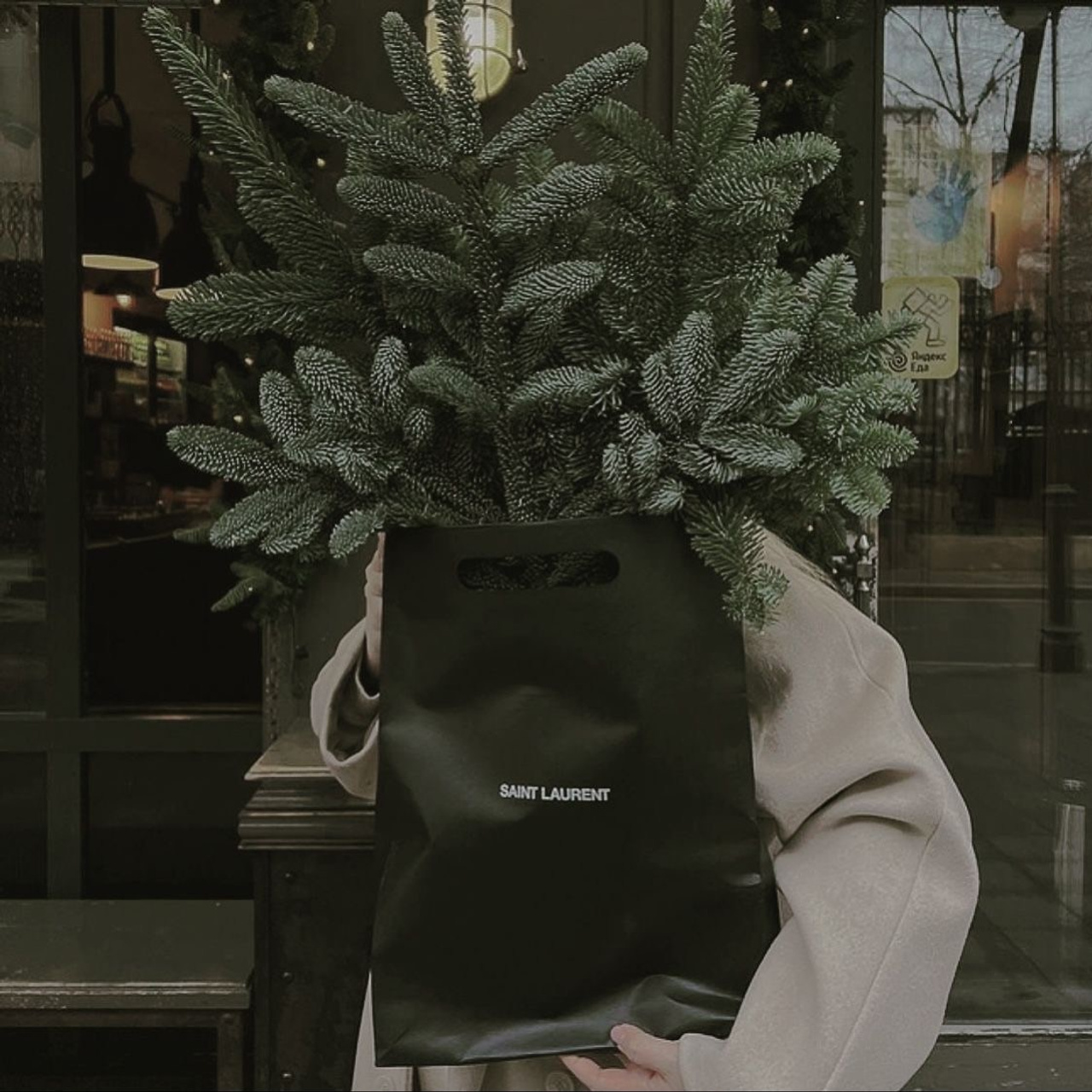 Christmas Photo Day. Photographer in Krakow/Europe Veronika Stoma