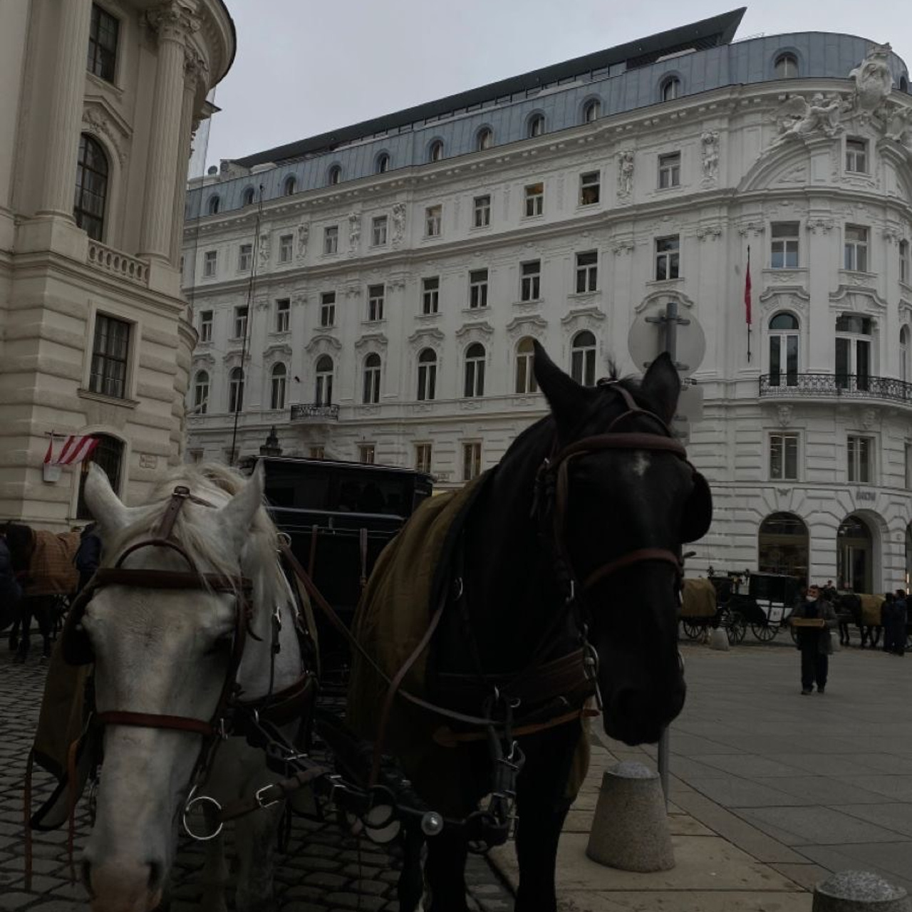 Vienna Photo Day. Fotograf w Krakowie/Europie Weronika Stoma