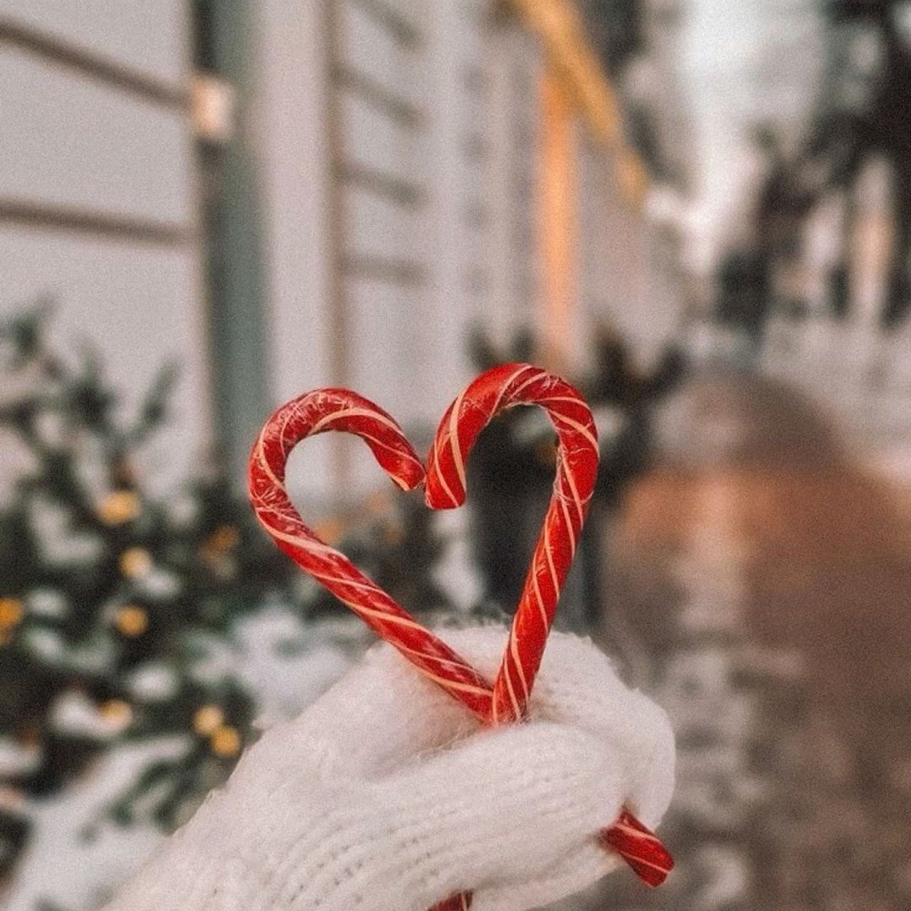 Christmas Photo Day. Photographer in Krakow/Europe Veronika Stoma