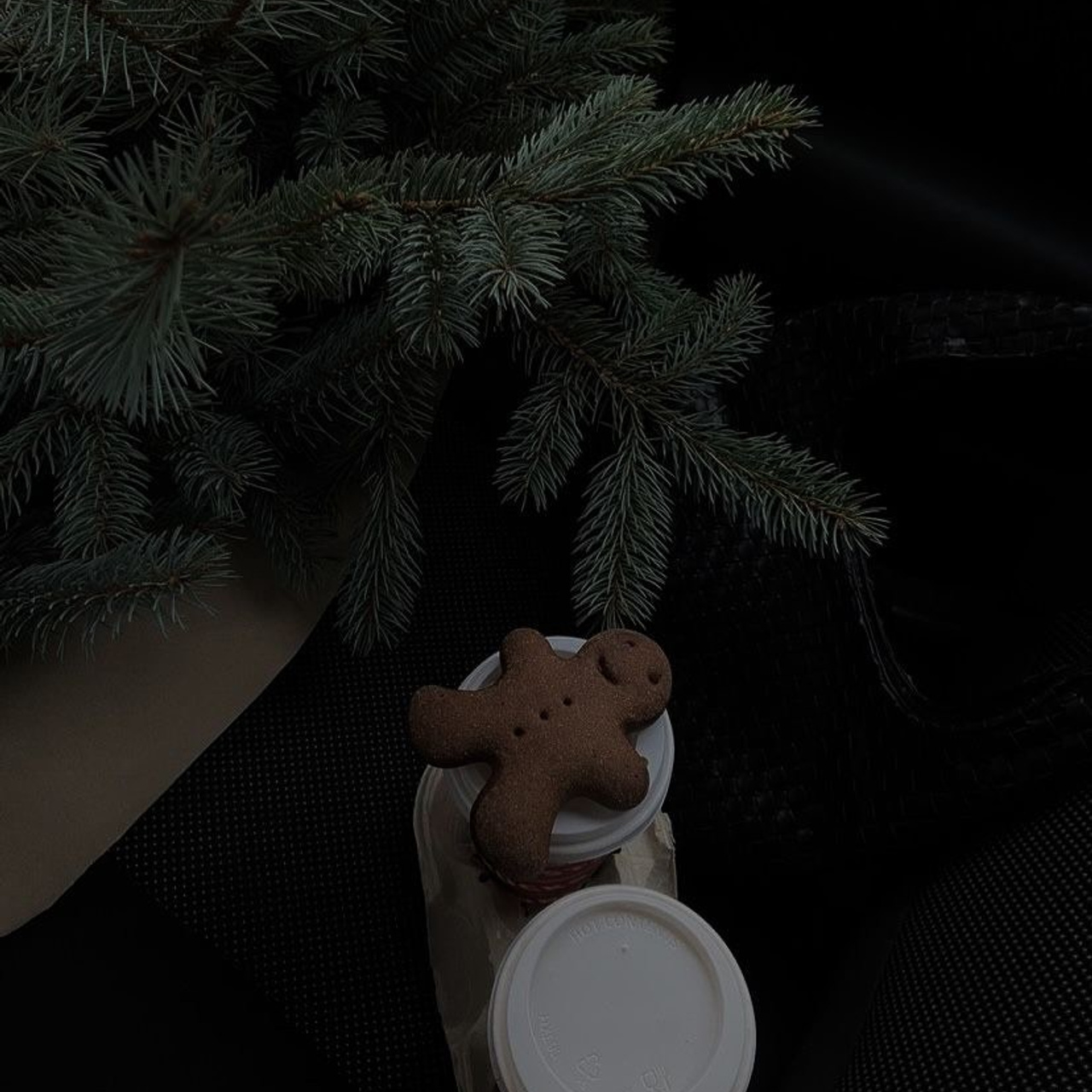 Christmas Photo Day. Photographer in Krakow/Europe Veronika Stoma