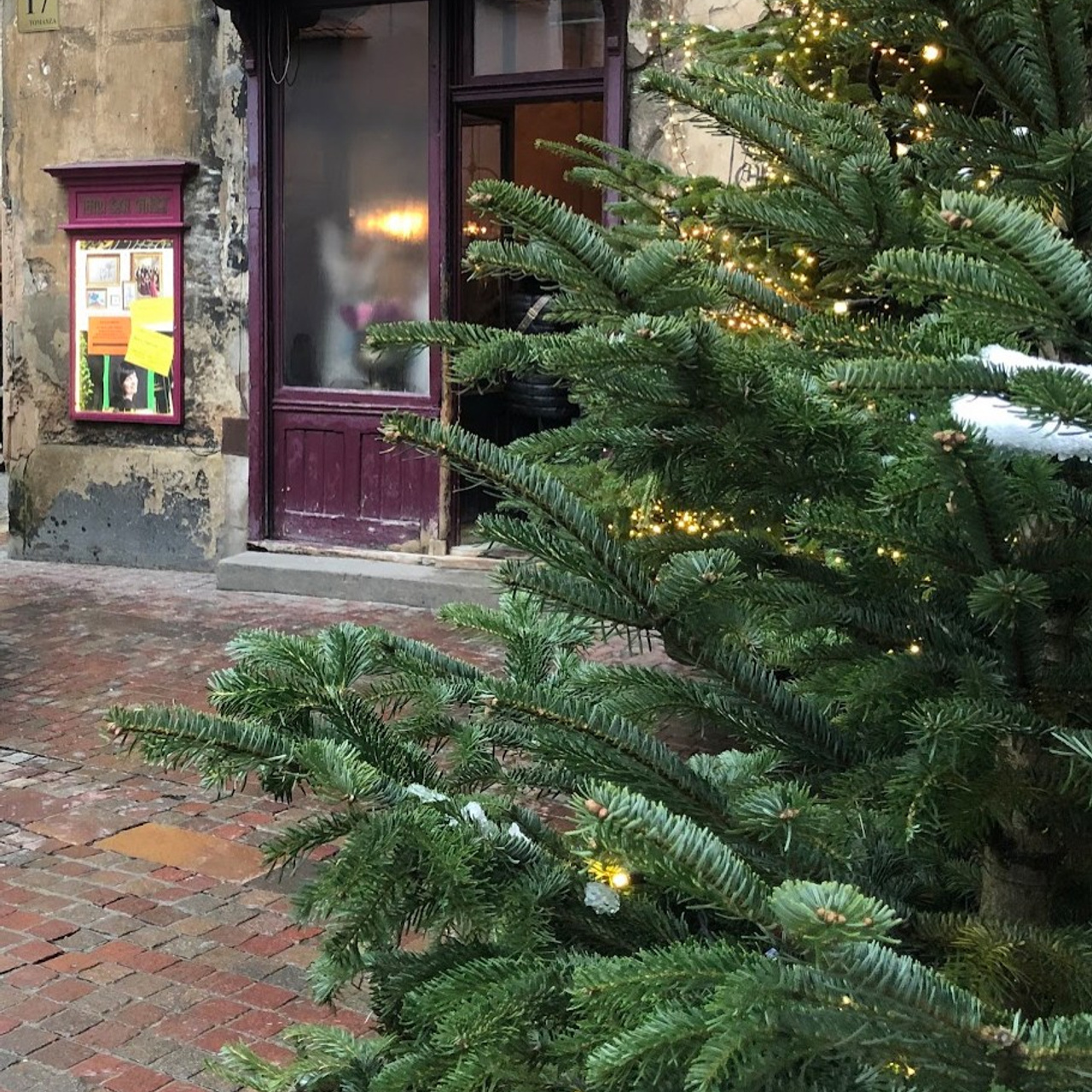 Christmas Photo Day. Photographer in Krakow/Europe Veronika Stoma