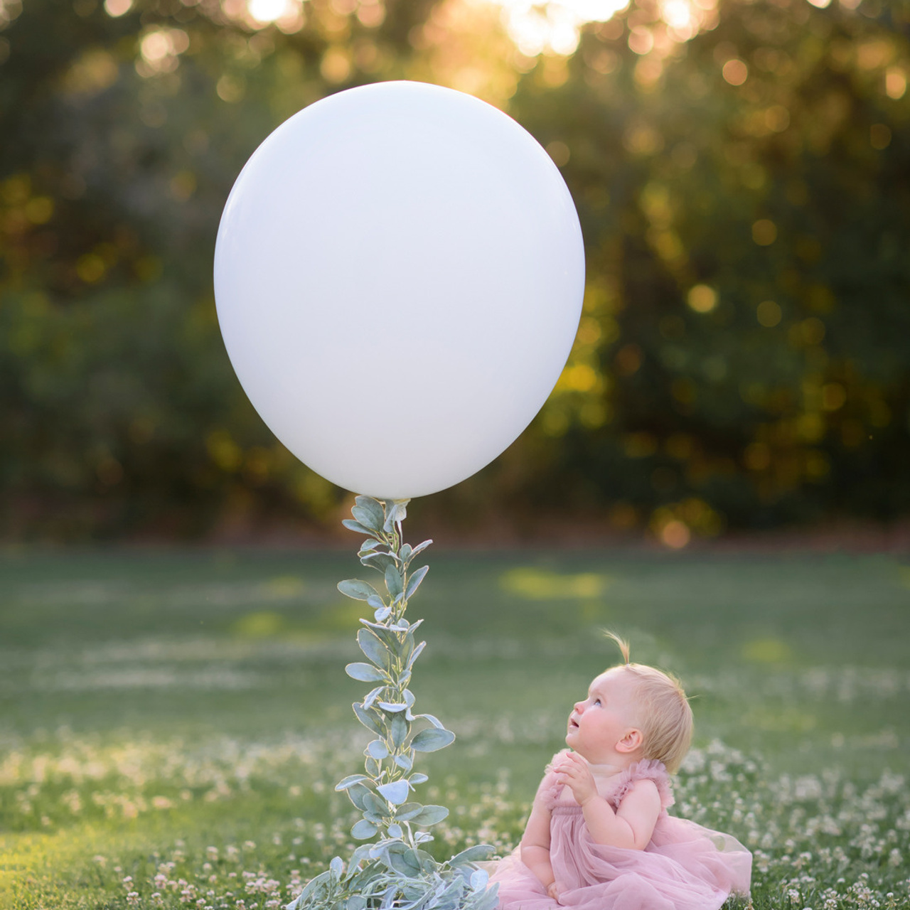 Stories. Family photographer in Roseville, Rocklin, Folsom, Sacramento