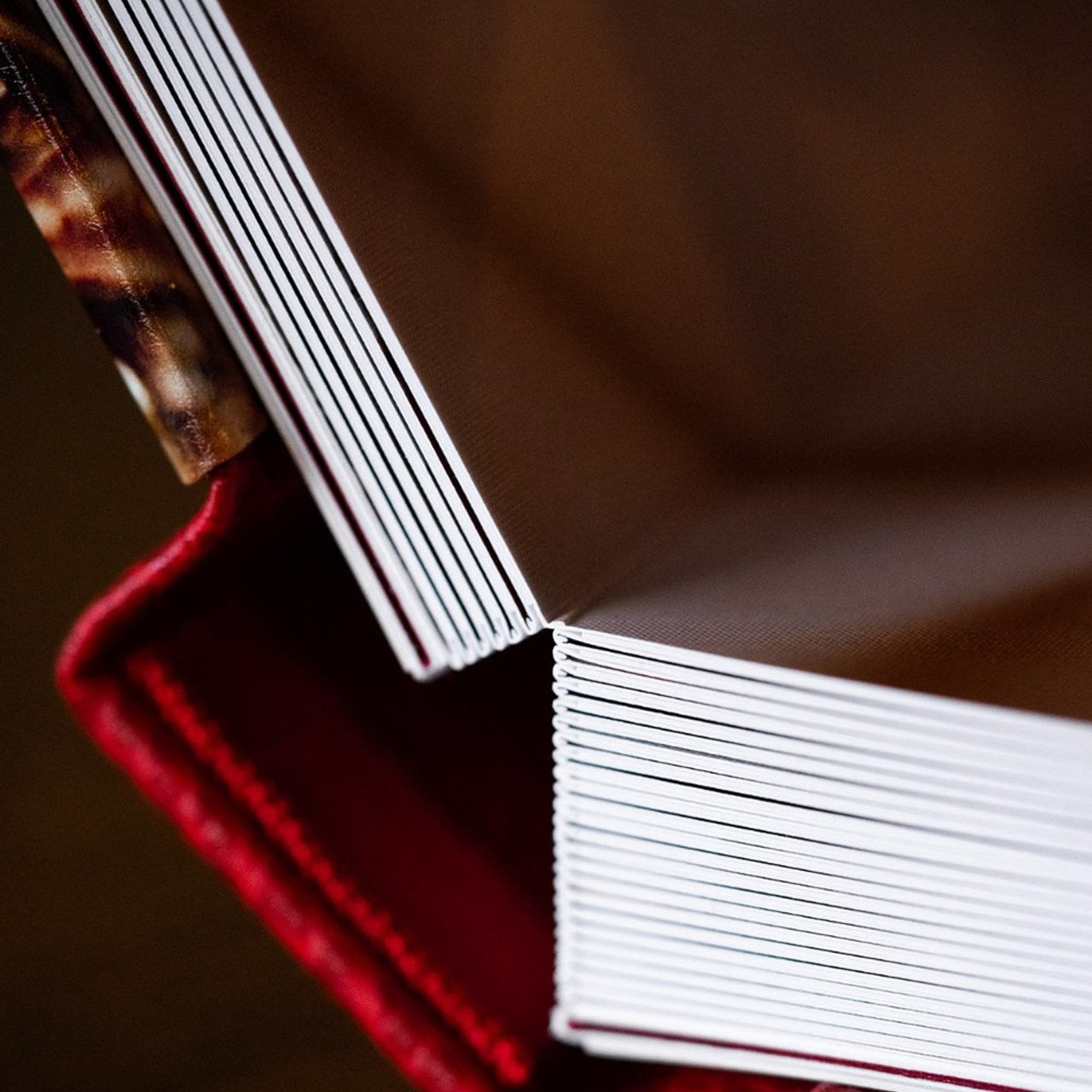 фотограф краснодар