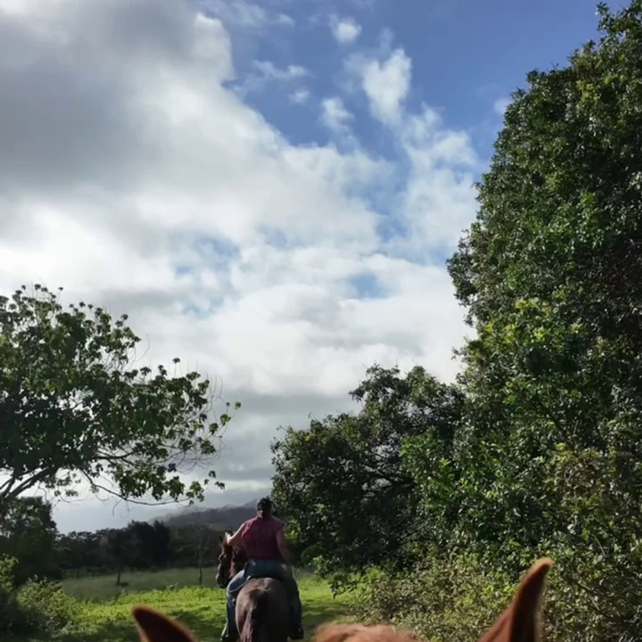 Top 10 Must-Do Activities for a Short Stay in Oahu