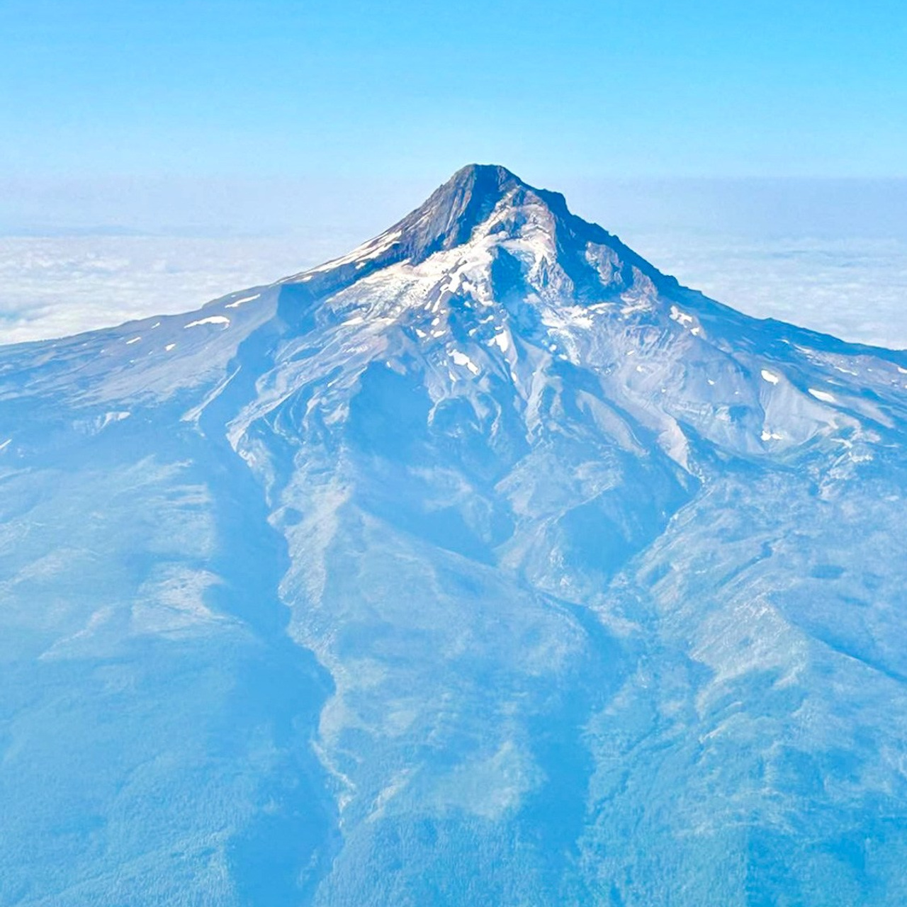 Beautiful view of Mount Hood during our trip to Portland Oregon for the TICA cat show with Siberian cat Astera Lastik