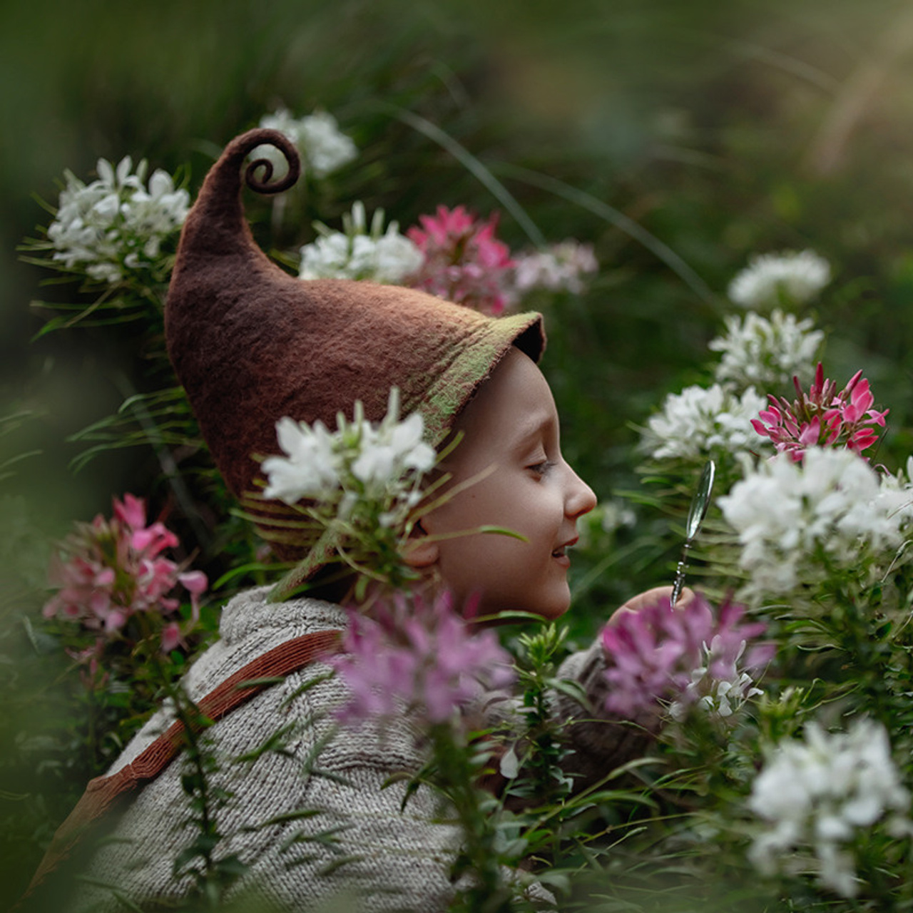 A dwarf in the forest