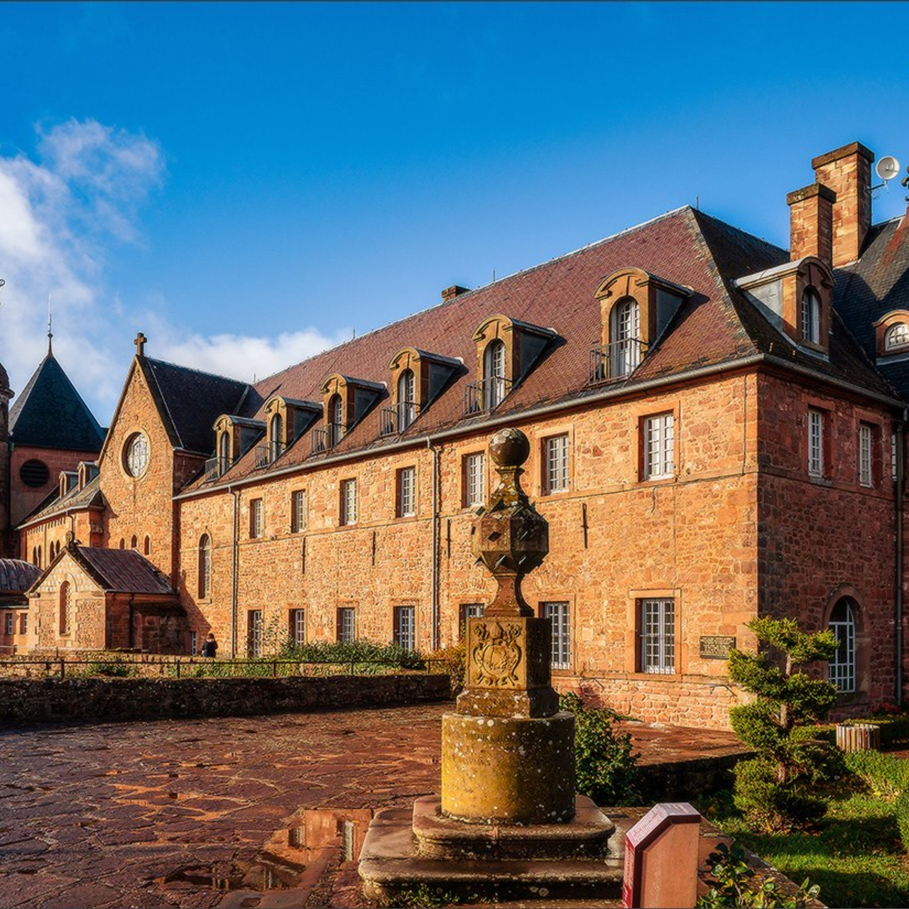 Quelques photos d'automne. Photographe à Strasbourg | Portraits, Studio, Enfants, Événements
