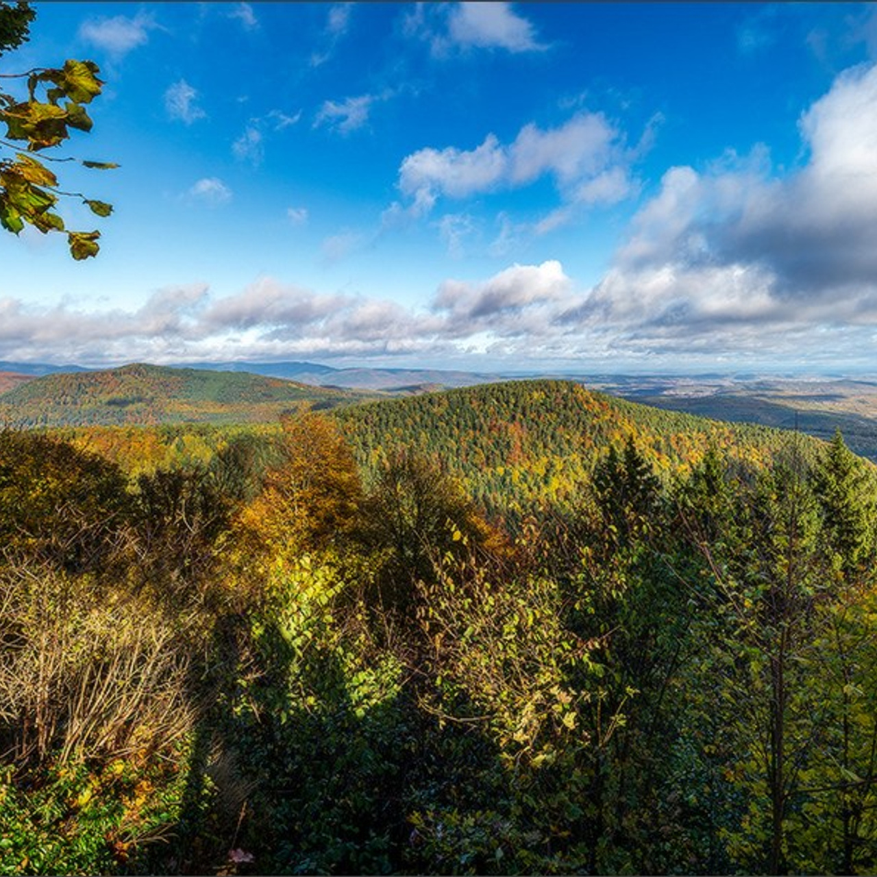 Quelques photos d'automne. Photographe à Strasbourg | Portraits, Studio, Enfants, Événements