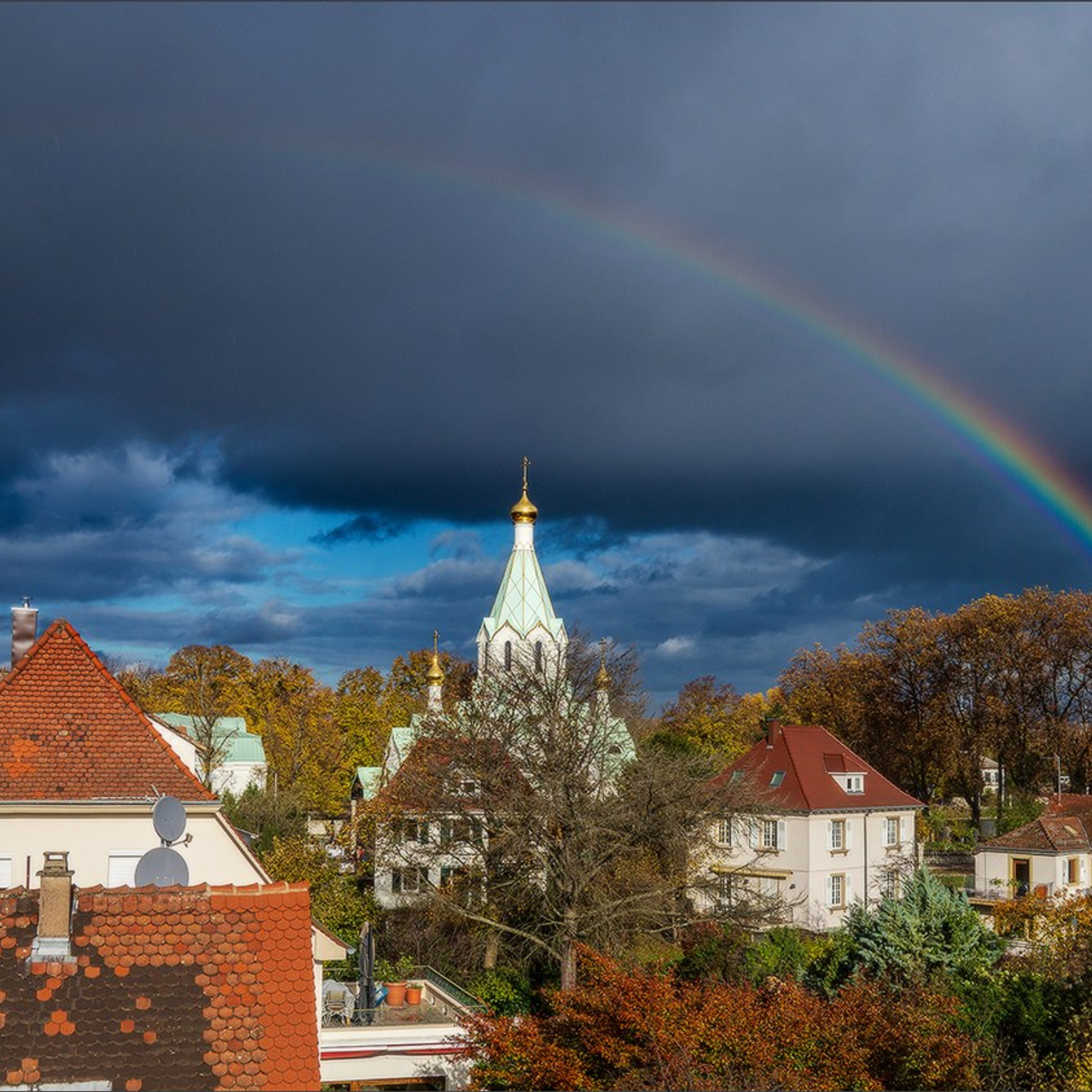 Quelques photos d'automne. Photographe à Strasbourg | Portraits, Studio, Enfants, Événements