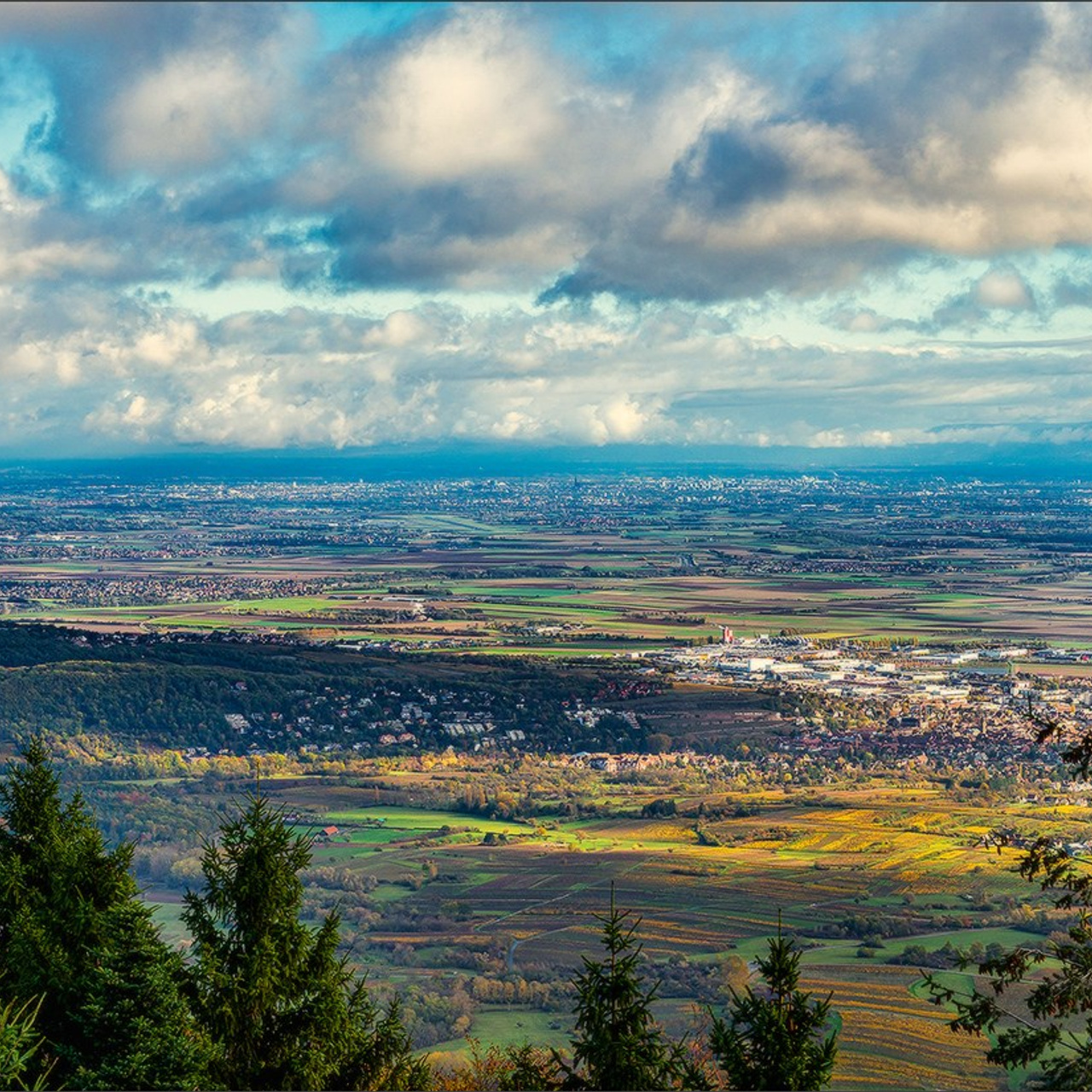 Quelques photos d'automne. Photographe à Strasbourg | Portraits, Studio, Enfants, Événements