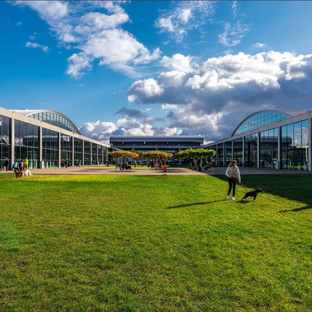Quelques photos d'automne. Photographe à Strasbourg | Portraits, Studio, Enfants, Événements