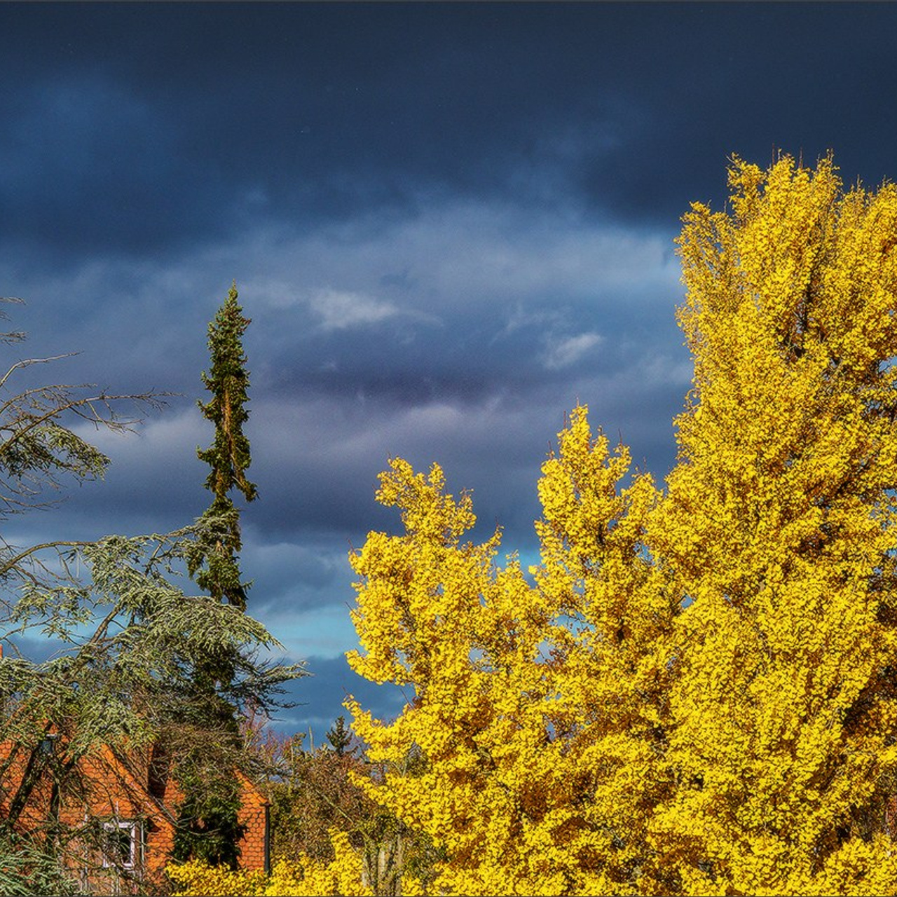 Quelques photos d'automne. Photographe à Strasbourg | Portraits, Studio, Enfants, Événements
