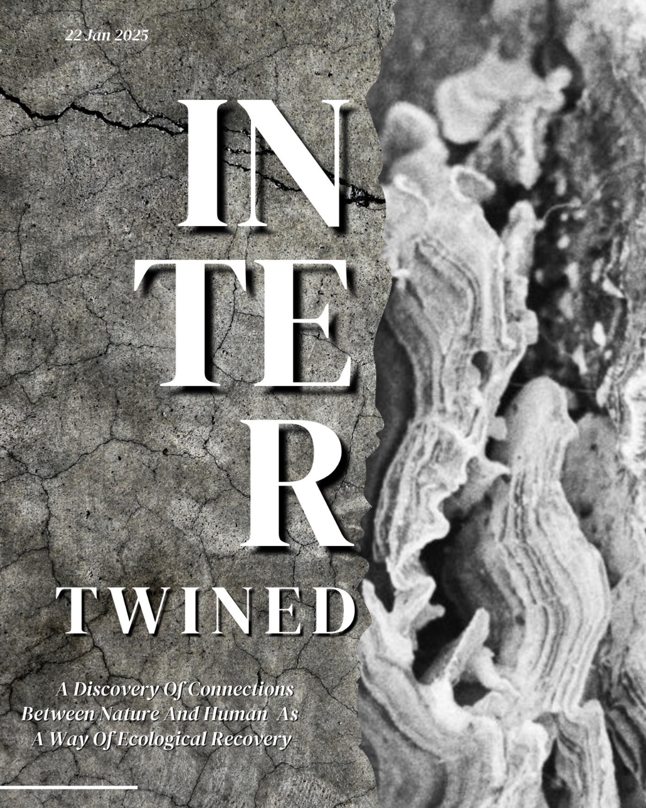 Intertwined