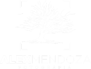 alexmendozamx.com