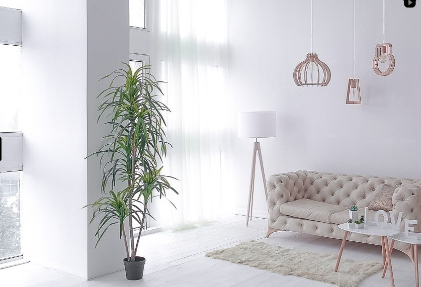 Фотостудії Києва. Сімейний і портретний фотограф у Києві Проценко Алла