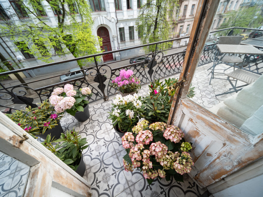 Фотостудії Києва. Сімейний і портретний фотограф у Києві Проценко Алла