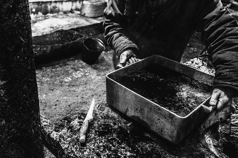 Stadukhino settlement, Bilibinsky district, Chukotka Autonomous Okrug, Russia. November 2013