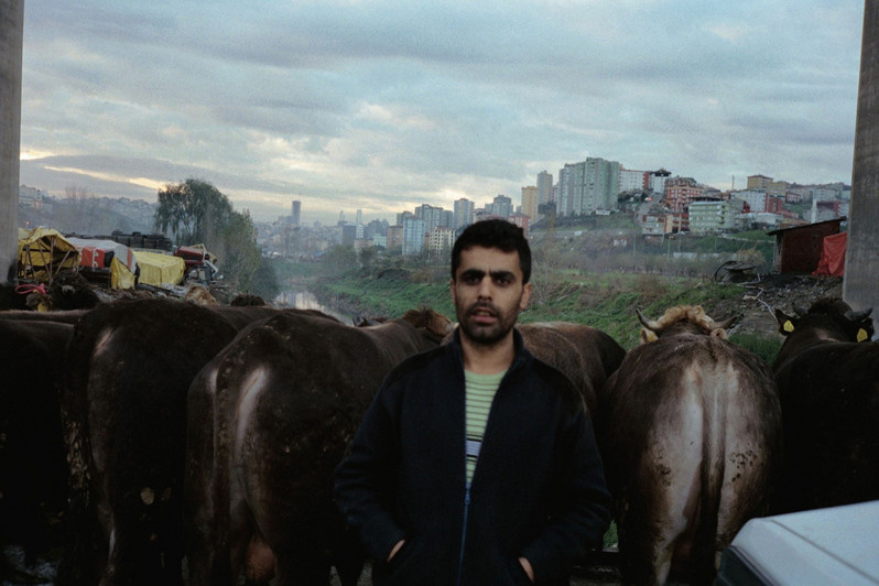 Istanbul region, Turkey. December 2008