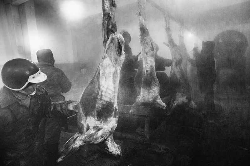 Stadukhino settlement, Bilibinsky district, Chukotka Autonomous Okrug, Russia. November 2013