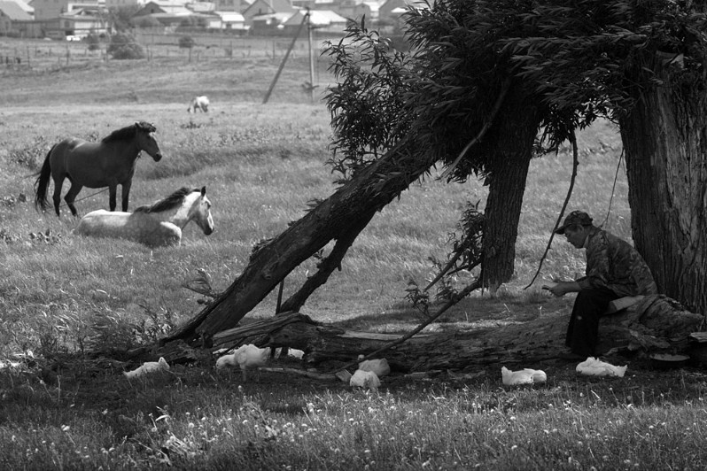 Пастух с книгой, деревня Починок-Инели, Комсомольский район, Чувашия, Россия. 2015