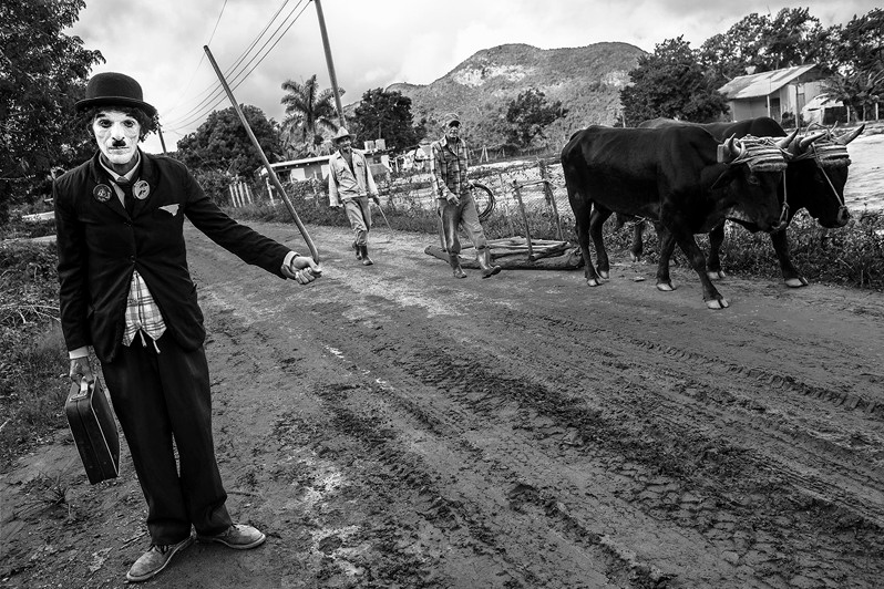 Эль-Сопапо, провинция Сьенфуэгос, Куба. 2018