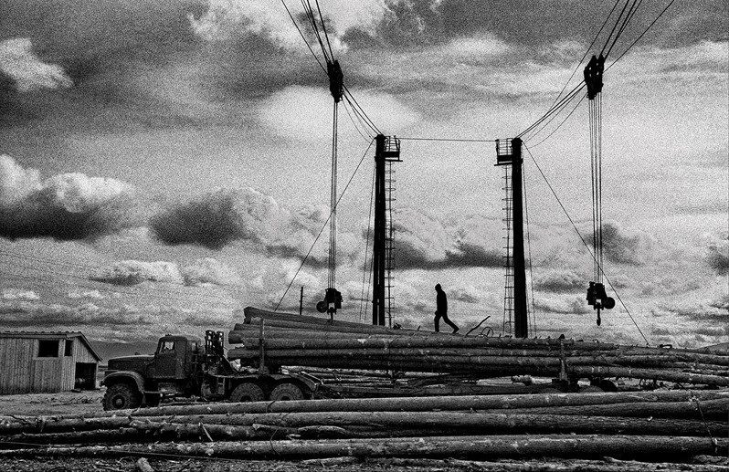 Стволы деревьев, спиленные на севере Сибири в районе озера Байкал и перевезенные на грузовике, Баргузинский район, Бурятия, Россия. Октябрь 2001