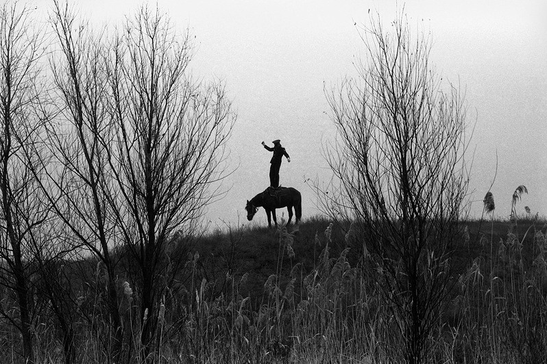 Cossack Valerka. Standing in all growth in a saddle, near Senshin khutor, Oblivsky district, Rostov-on-Don region, Russia. October 2010