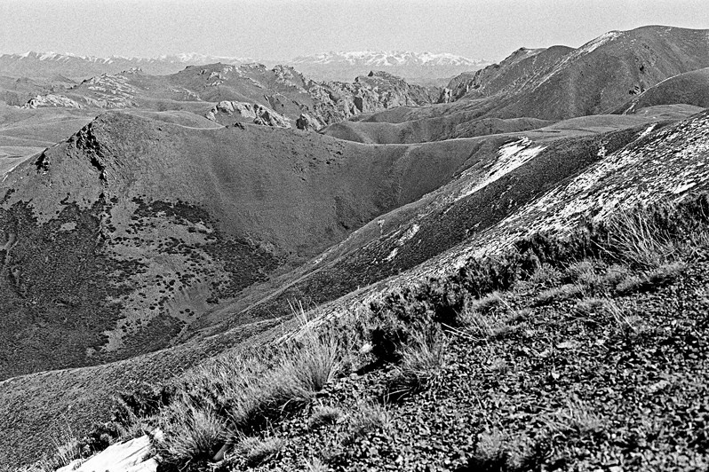 in the vicinity of Lake Song-Köl, Naryn region, Kyrgyzstan. September 2003