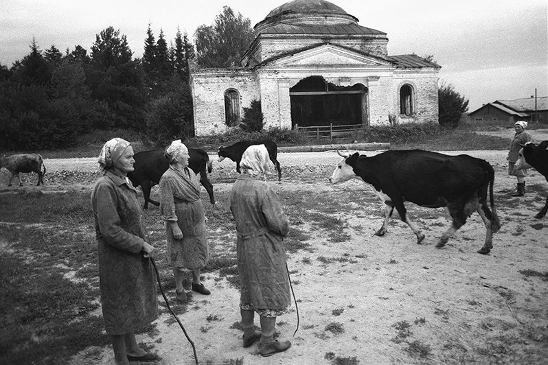 In the pasture, Vvedenskoye village, Chukhlomskiy district, Kostroma region, Russian SFSR. July 1989