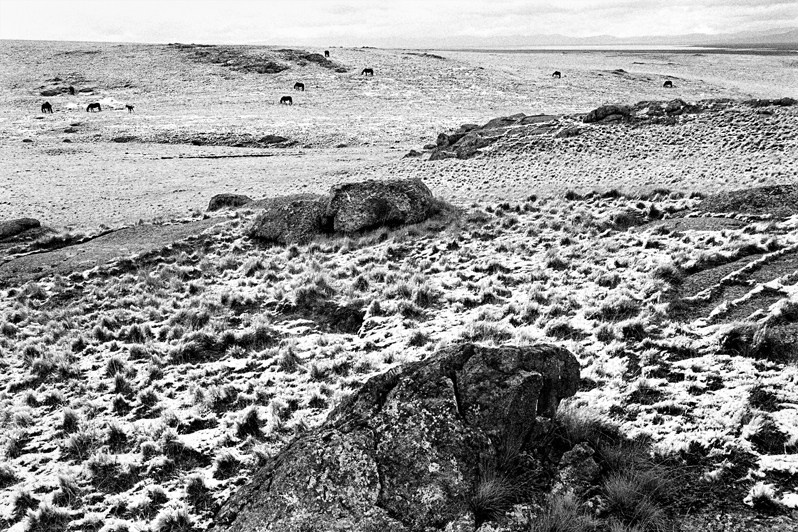 in the vicinity of Lake Song-Köl, Naryn region, Kyrgyzstan. September 2003