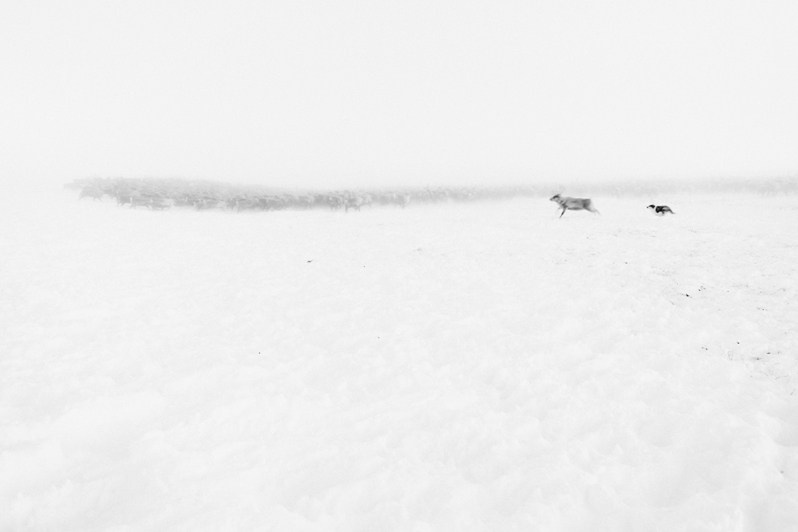 near Stadukhino settlement, Bilibinsky district, Chukotka Autonomous Okrug, Russia. November 2013