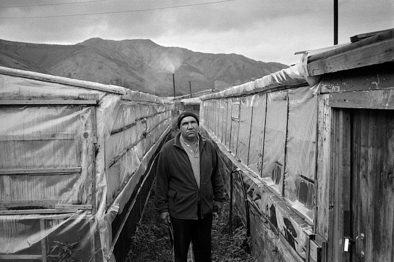 Valery grows cucumbers in greenhouses heated by firewood, Karamken urban-type settlement (non-existent), Khasynsky district, Magadan region, Russia. August 2014