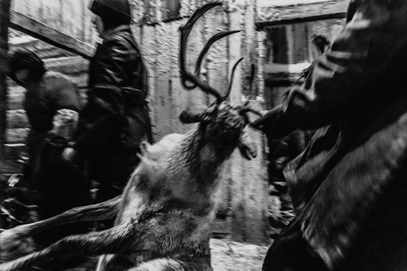 Stadukhino settlement, Bilibinsky district, Chukotka Autonomous Okrug, Russia. November 2013