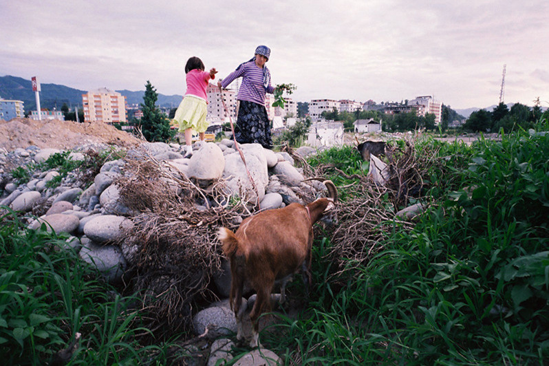 Rize region, Turkey. July 2010