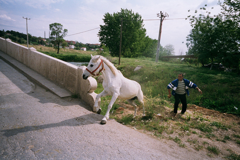 Edirne region, Turkey. May 2009