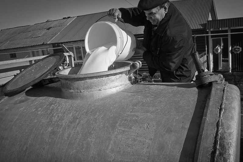 Сбор молока у населения, село Русское Азелеево, Зеленодольский район, Татарстан, Россия. 2018