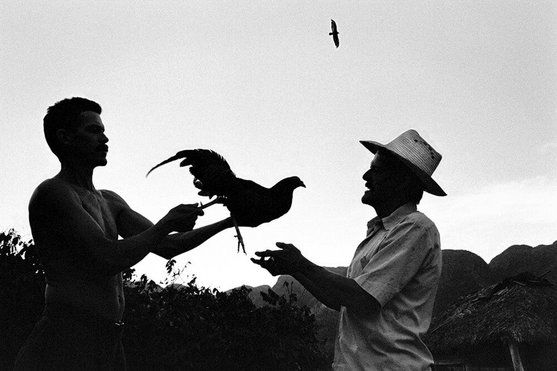 Виньялес, провинция Пинар-дель-Рио, Куба. 2008