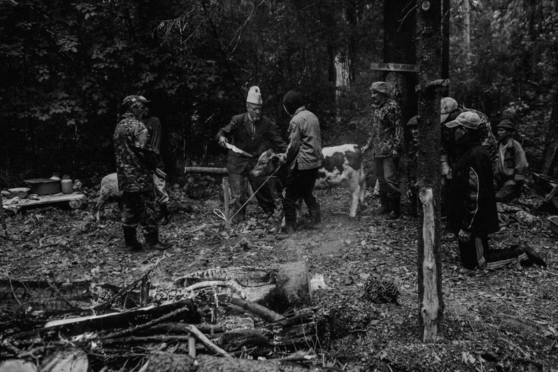 Татьяна Плотникова / Марийцы: Последние язычники Европы. Творческий союз Нога