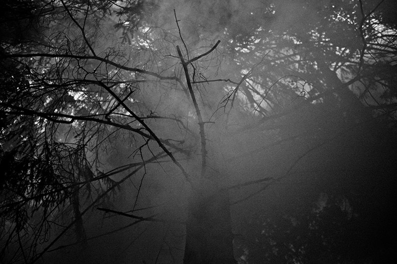 Татьяна Плотникова / Марийцы: Последние язычники Европы. Творческий союз Нога