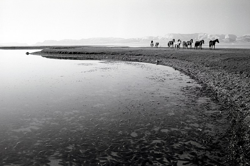 in the vicinity of Lake Song-Köl, Naryn region, Kyrgyzstan. September 2003