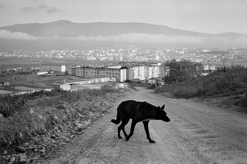 Road to the monument 'Mask of Sorrow' by Ernst Neizvestny, near Magadan, Magadan region, Russia. August 2014